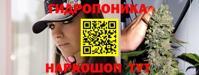 шишки Малоярославец