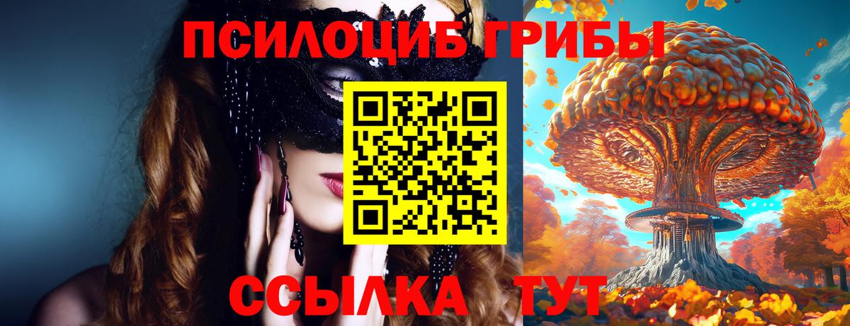 Псилоцибиновые грибы прущие грибы  Вход с VPN  Галлюциногенные грибы Magic Shrooms  Узловая 