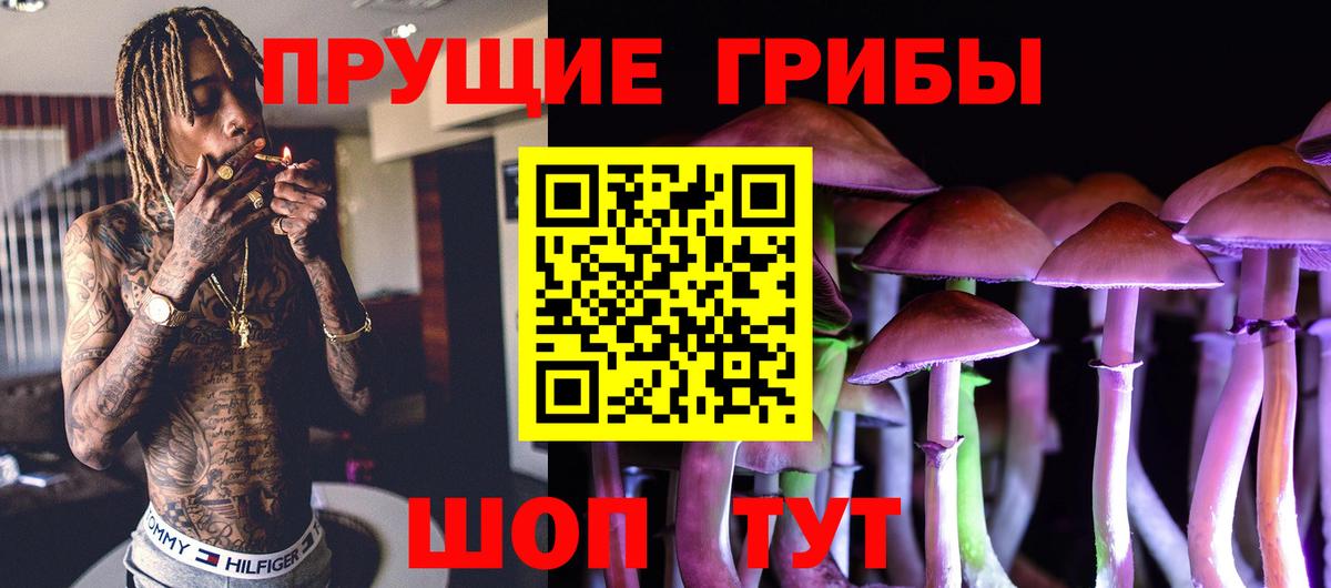 Галлюциногенные грибы мухоморы Узловая