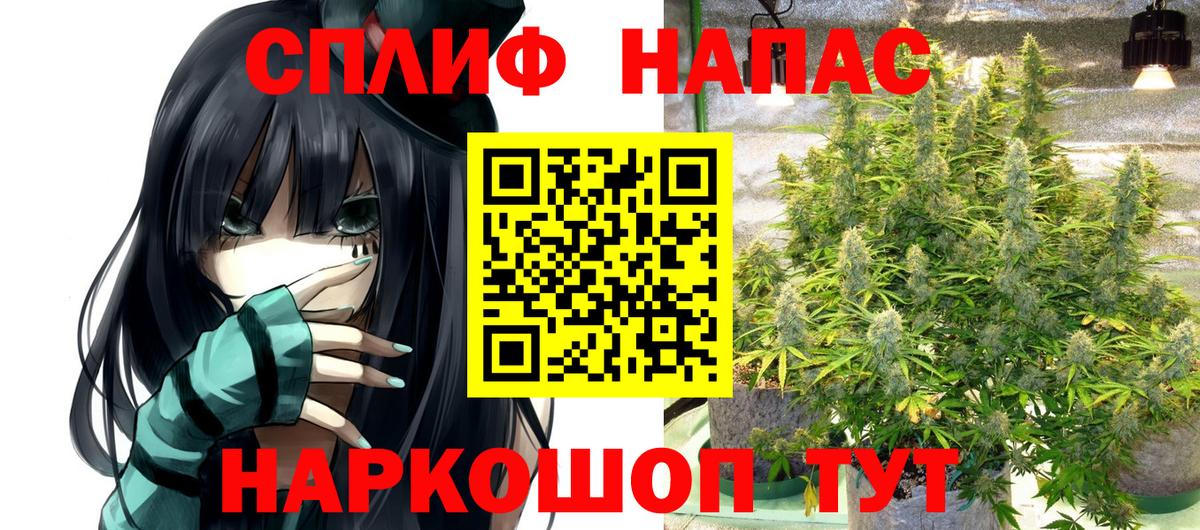 Канабис сатива Узловая